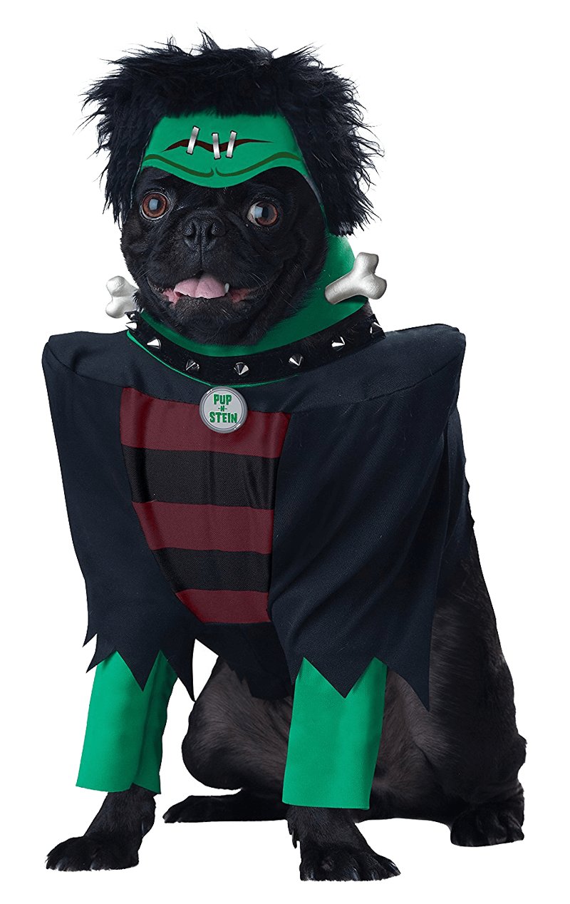 frankenpup halloween dog costume